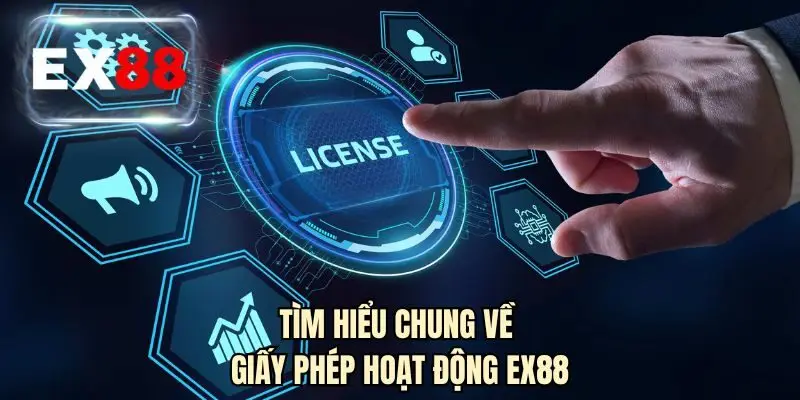 Tìm hiểu chung về giấy phép hoạt động EX88